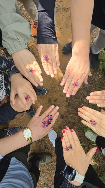 고양신문 마을숲 탐사 참가자들이 누리장나무 열매를 반지처럼 손가락 사이에 끼는 놀이를 하고 있다.