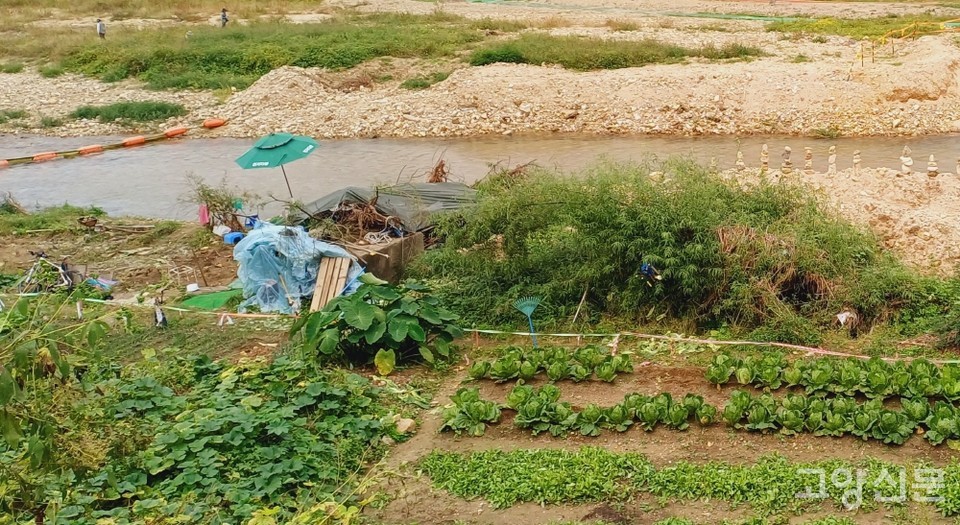 창릉천을 따라 걷다 보면 하천부지를 불법 점거한 경작이 여전히 목격된다. 