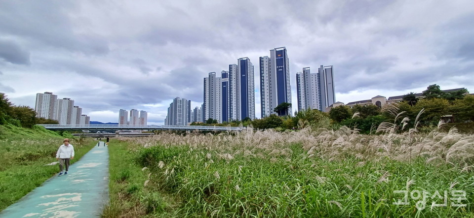 주민들의 힐링 쉼터로 사랑받는 삼송지구 창릉천변 수변공원. 