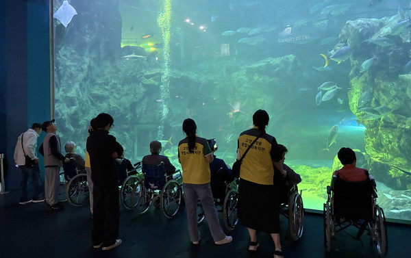  향동종합사회복지관 직원들이 지역 내 어르신들과 수족관을 구경하고 있다.