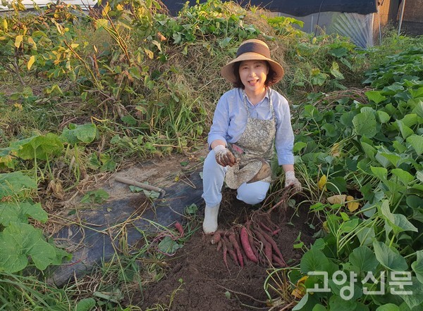 고구마는 가늘어도 얼굴엔 웃음꽃이 가득 넘쳐났다.