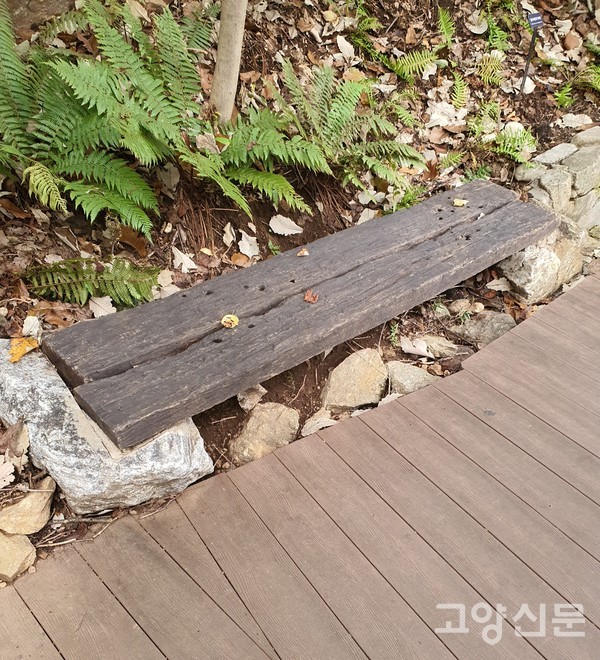 오래된 판자를 돌에 걸친 화담숲 벤치. 자연친화적 모습이 곳곳에서 눈에 띄었다.