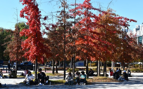 참가자들이 잠시 숨을 고르던 공원. 쉬어간 자리에도 참가자들은 '아름다운 흔적'을 남겼다.