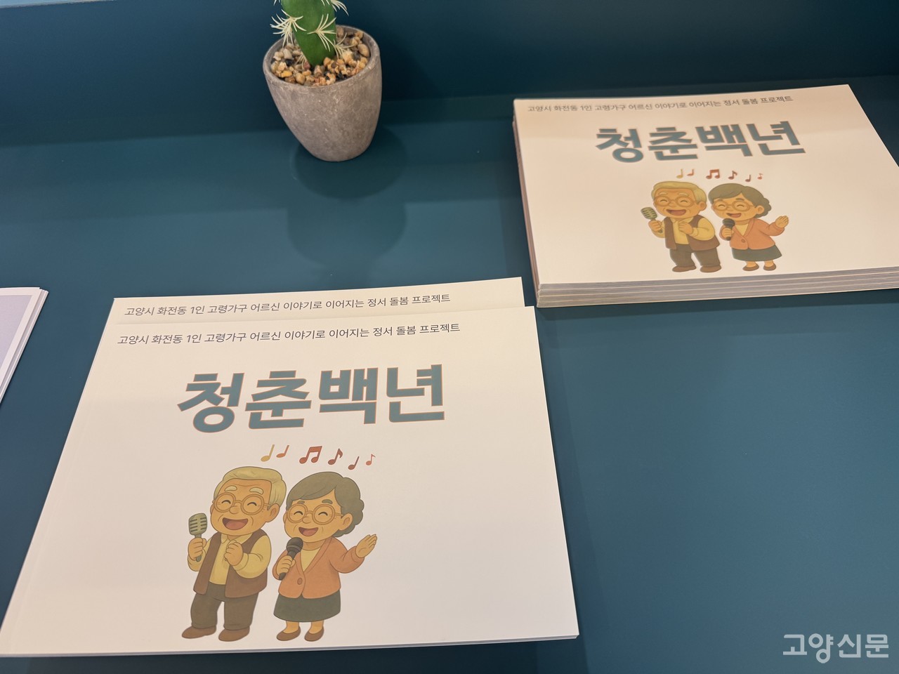 5개월간의 프로젝트 과정을 기록한 '청춘백년' 책자