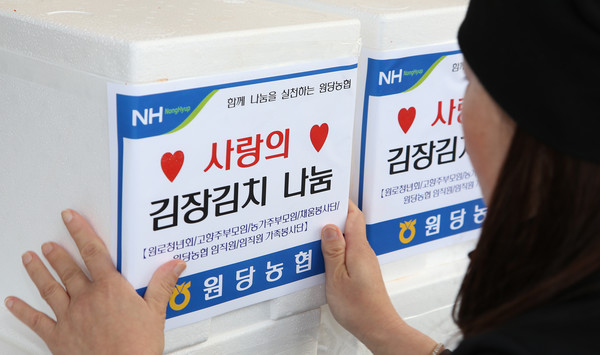 원당농협 사랑의 김장나눔. 한 직원이 정성스럽게 상자를 포장하고 있다.