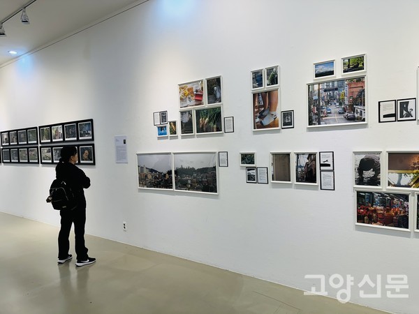 한 관람객이 '디지털 포토그래피' 수료 전시회 작품을 감상하고 있다.