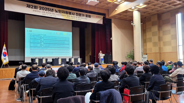  ‘고령사회 대응을 위한 노인자원봉사 활성화 전략’이 제시되고 있다.