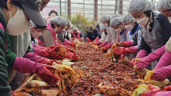 지난 13일, 고양시 덕양구 행신동 주민자치회와 다병원 관계자들이 '사랑 담은 김장 나눔' 행사에서 취약계층에게 전달할 김치를 정성껏 버무리고 있다. [사진제공= 다병원]