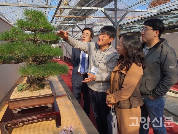 김경태 원장이 권지선 소장과 권종현 팀장에게 소나무 분재에 대해 설명하고 있다.