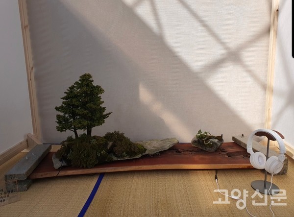 삼나무 분재에 헤드폰을 곁들여 마치 숲속에서 음악을 듣는 듯한 느낌을 준 전시작.