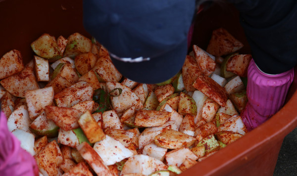 김치에 들어갈 무를 버무리고 있다.