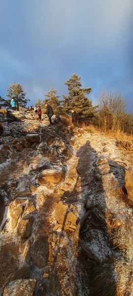 노르마카(Nordmarka) 숲 벡타콜렌 전망대 새해 일출 그림자[이철규 북유럽특파원]