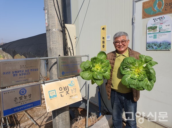 은빛농장 입간판과 농림축산식품부가 인증한 GAP(우수관리인증) 인증판 앞에서 수확한 봄동을 들고 차영성 대표가 밝게 웃고 있다.
