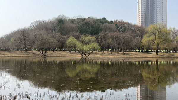 참가자들이 한줄로 길게 이어져 일산호수공원을 걷고 있다.