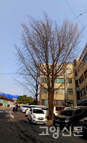 언덕길을 올라오며 보이던 풍경. 