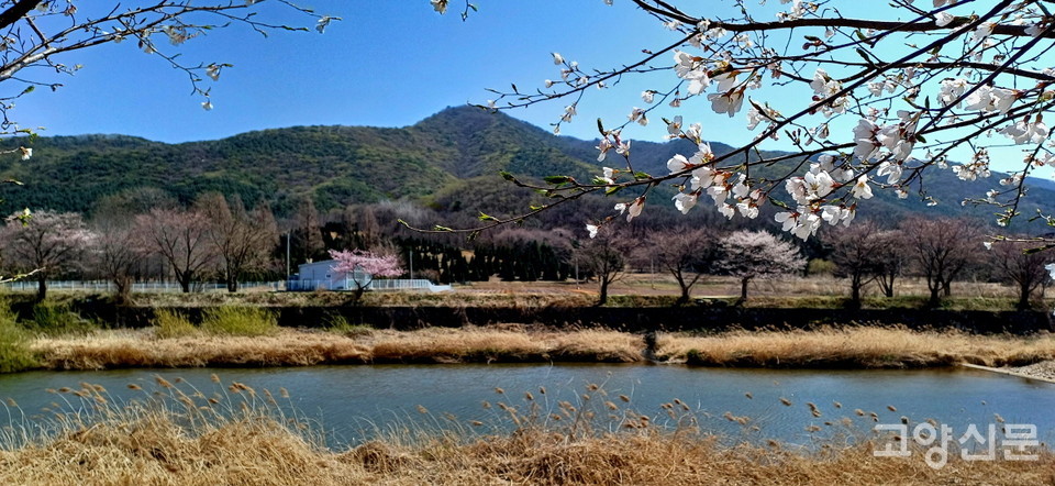 ​눌노천 건너편으로 파평산의 느긋한 능선이 조망된다. 