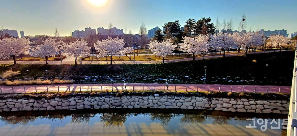 물길과 산책로가 나란히 뻗은, 잘 정비된 도심 선형공원인 소리천. 