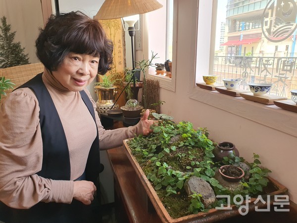 창가 옆 사각화분에서 제주애기모람이 앙증스럽게 작은 잎을 보여주고 있다.