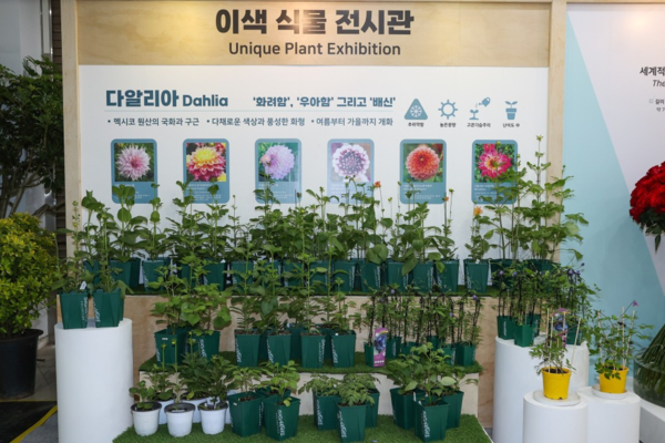 이색 식물 전시관. 고양시 제공