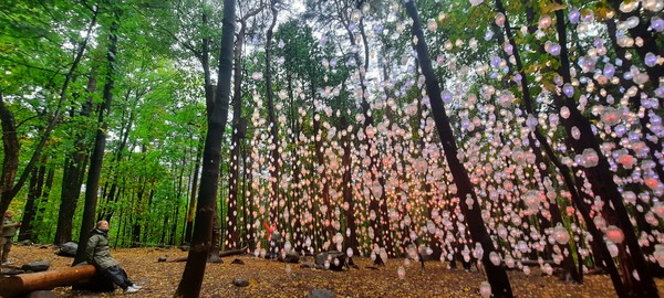 스위스 출신의 작가 피필로티 리스트(Pipilotti Rist)의 설치 예술 작품 '노르딕 픽셀숲', 2022년 설치작품. 이철규 북유럽특파원