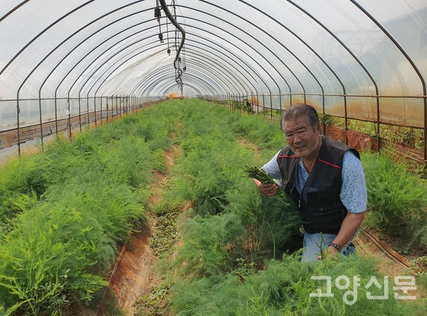 오재근 대표가 아스파라거스를 살펴보고 있다.