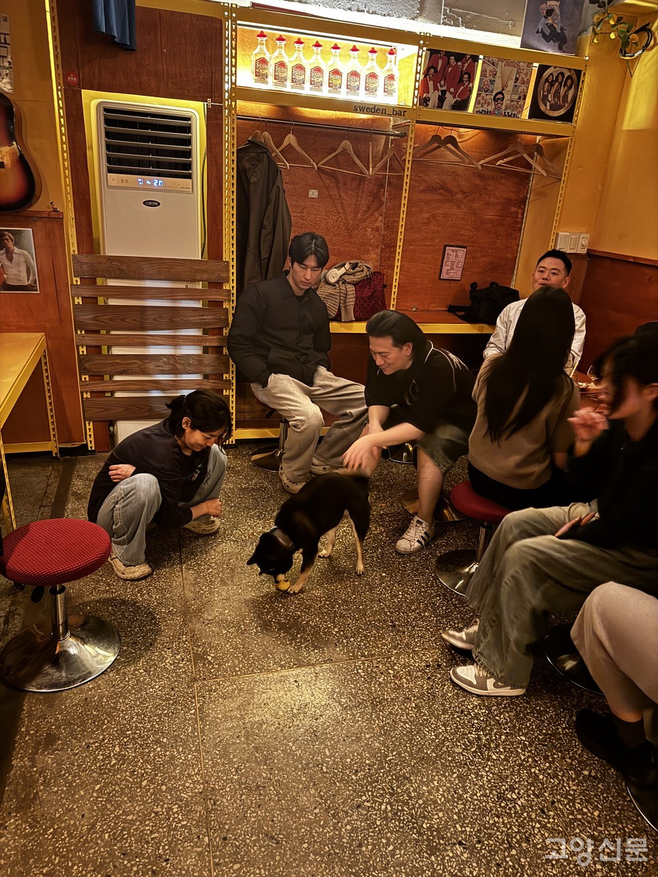 백석8블록 내 위치한 스웨덴 바에서 모임을 갖는 모습