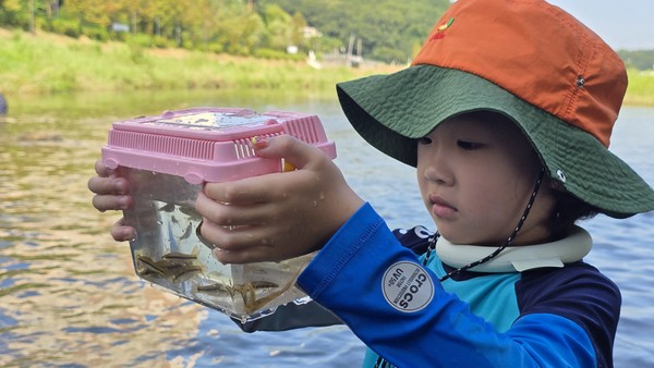 공릉천에서 채집된 물고기를 바라보고 있는 어린이.