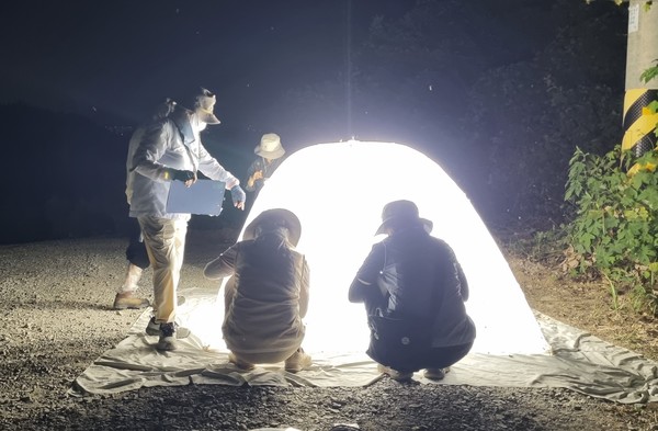 야간등화 조사모습2. 불빛에 모여든 곤충들3. 개머루에 알을 낳는 머루박각시4. 콩독나방 수컷의 멋진 더듬이. 애벌레 때 콩과 식물을 먹는다.5. 왕귀뚜라미. 겹눈 위 흰띠 무늬가 눈썹처럼 보인다.6. 당랑권 솜씨를 자랑하지만 연약한 몸이 애처로운 좀사마귀7. 산호랑나비. 호랑나비와 비슷하게 생겼으나 앞날개의 맨앞부분 무늬가 다르고 뒷날개 끝에 선명한 푸른 반점이 있다.