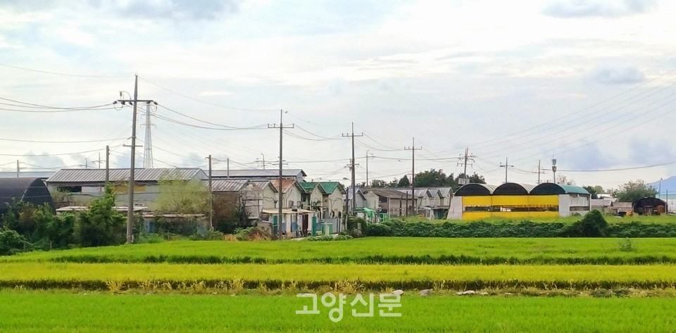 4곳의 양돈농장이 모여있는 구산동 축산단지.