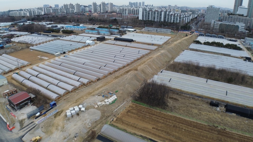 장항동 도로 공사 현장에서 고양우편집중국 방향으로, 양옆 비닐하우스 농가 사이로 거대한 흙더미가 산맥처럼 길게 늘어서 있다.
