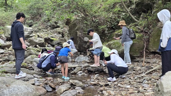 지난 12일 개명산 계곡에서 자연활동이 진행되고 있다. 