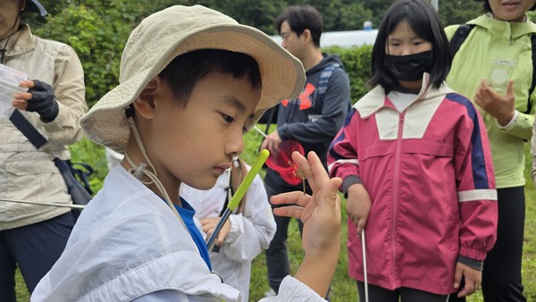 개명산 풀숲에서 잠자리를 채집해 살펴보고 있는 어린이.