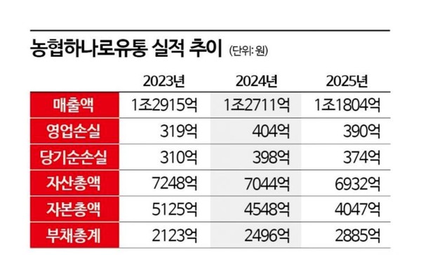 농협하나로유통의 최근 3년간 주요 재무 실적 지표. 매출 하락과 부채 증가가 뚜렷하게 나타나고 있다.