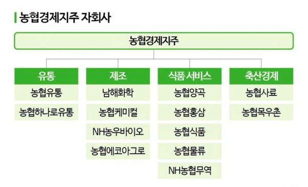 농협경제지주 산하 자회사 지배구조 현황. 합병 이후 유통 부문의 중복 기능을 최소화하고 농협유통 중심으로 일원화될 전망이다.