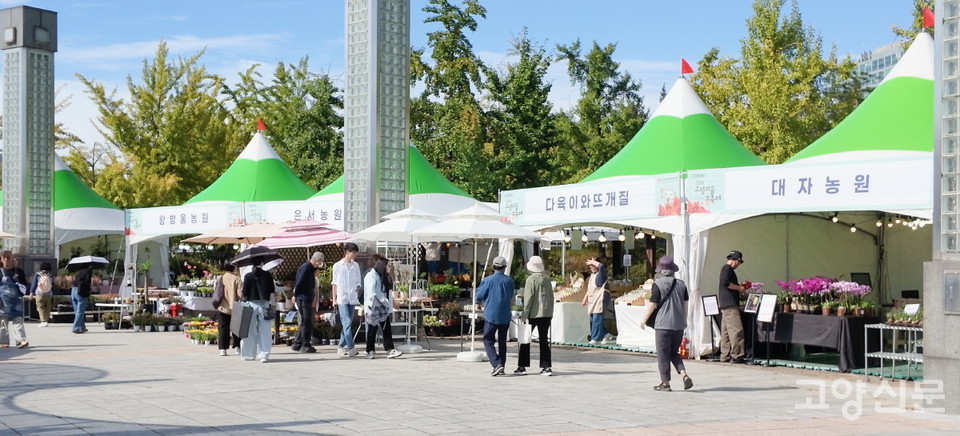 사진=최해성·윤예빈 기자