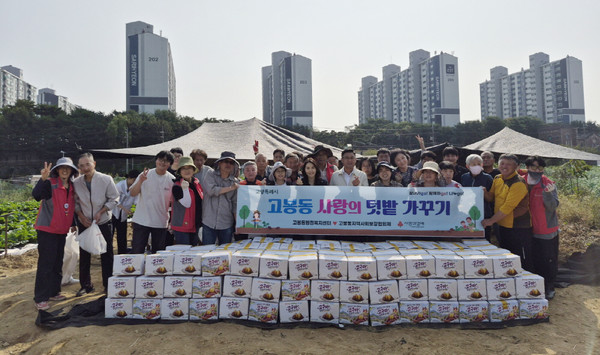 고봉동 지역사회보장협의체 '사랑의 텃밭’에서 고구마를 수확해 어려운 이웃과 나눔을 했다.