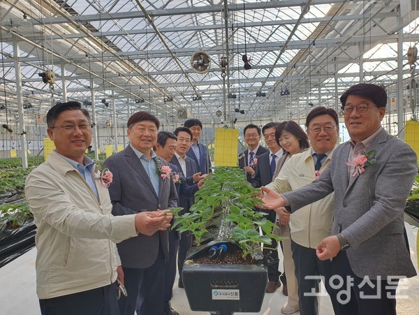 농협대학교 딸기 스마트팜 실습장도 둘러봤다.