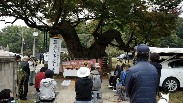 산황산의 자연과 생명을 지키기 위한 '산황산 느티나무 고천제'가 지난 24일 산황동 690살 용뿔 느티나무 앞에서 열렸다. 고양환경운동연합 제공