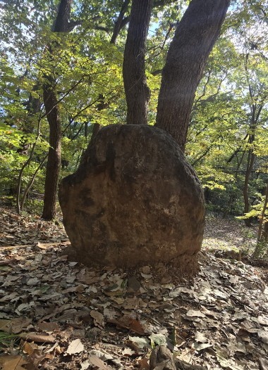 선돌로 추정되는 석재. 고봉산문화예술보존회 제공