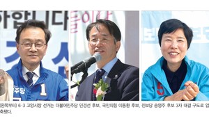 '심판이냐 연임이냐' 고양시장 3파전 - 뉴스 썸네일 이미지